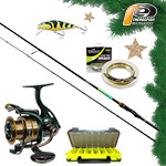 KARÁCSONYI WIZARD EDGE SZETT 2,65M 45-95G