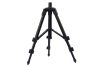 CARP EXPERT MINI TRIPOD