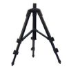 CARP EXPERT MINI TRIPOD