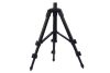 CARP EXPERT MINI TRIPOD