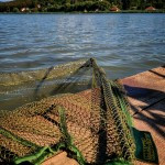 Carp Academy Bojlis merítőfej 100x100 gumírozott