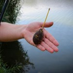 Nevis Method XL Pontyozó feeder kosár 60gr